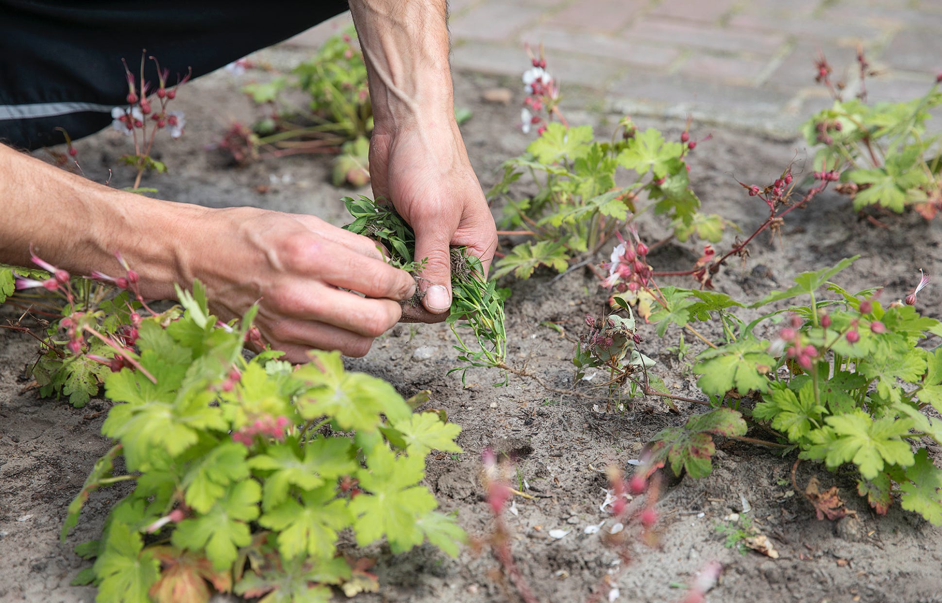 Interieurproject Valkenswaard 